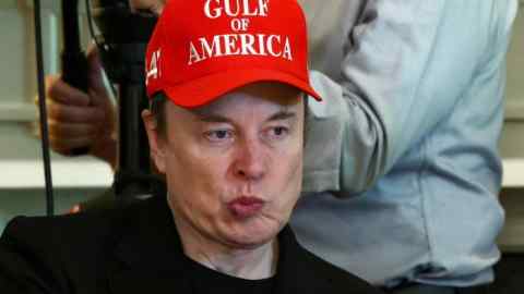 Elon almizcle