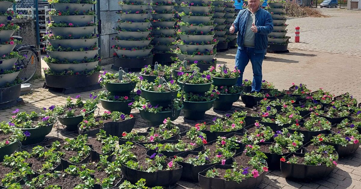 Blankenberge se ilumina con 22,000 flores