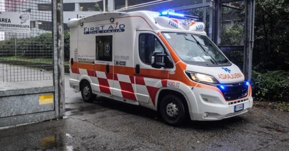 Boscaiolo muere en un accidente por el trabajo abrumado por