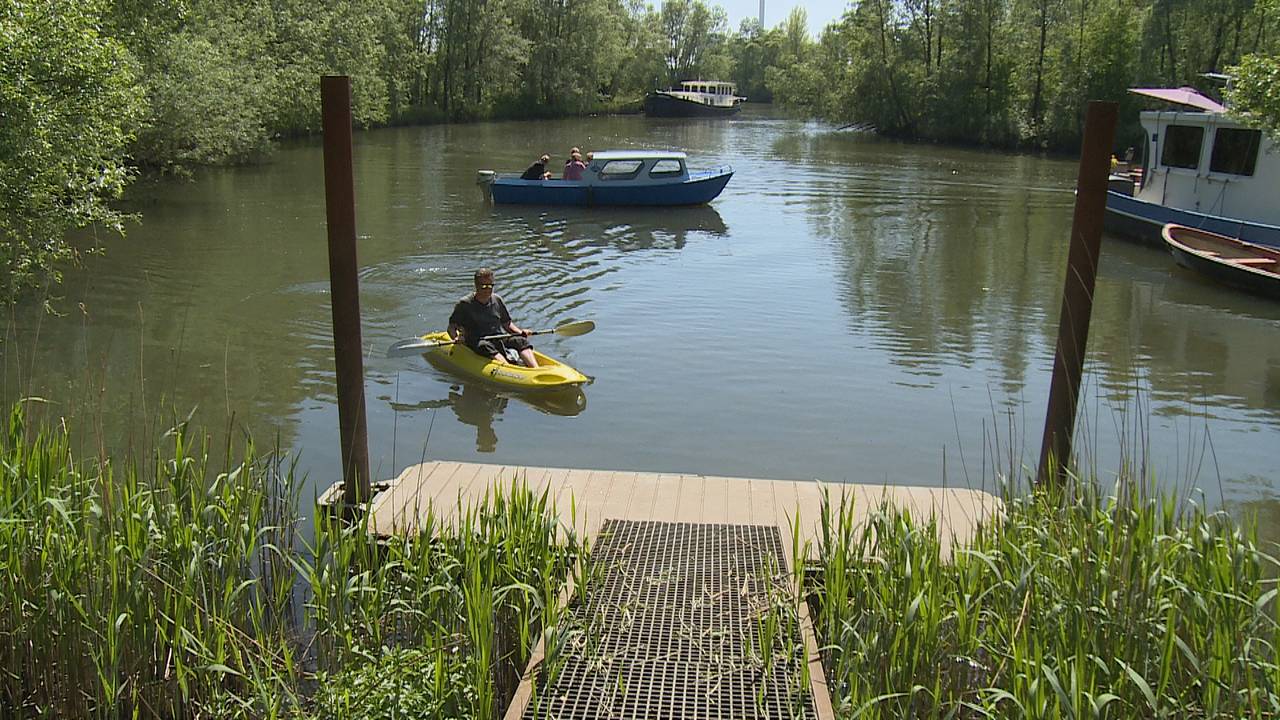 Buen natación en el Biesbosch, no es una buena idea