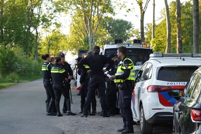 Buscar en Polder cerca de Finsterwolde por perderse Jeffrey y