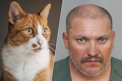 "Cat serial asesino" en el vuelo en California: "peligro grave