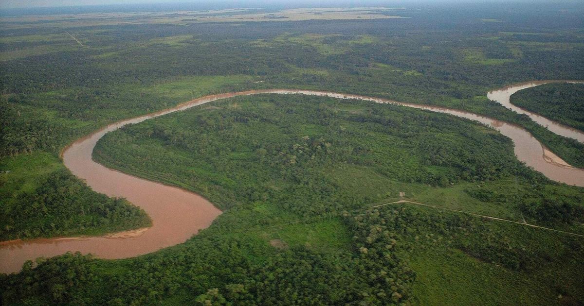 Cinco personas, incluido un niño, sobreviven 36 horas en pantano