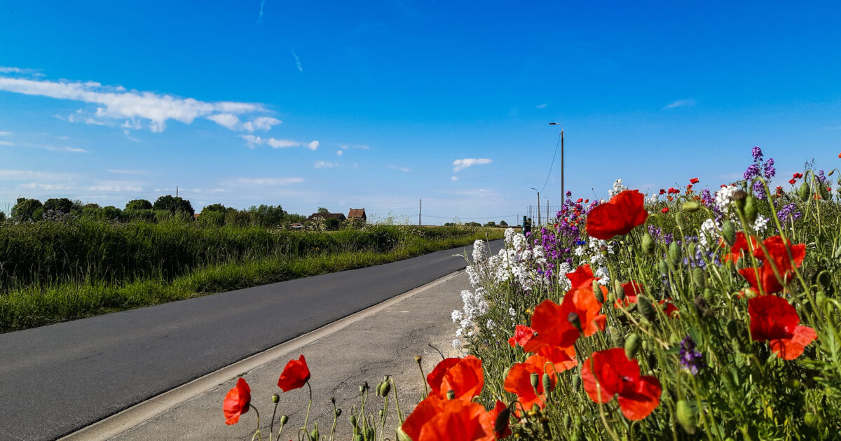 Clima de primavera de verano: mucho sol, posiblemente una ducha
