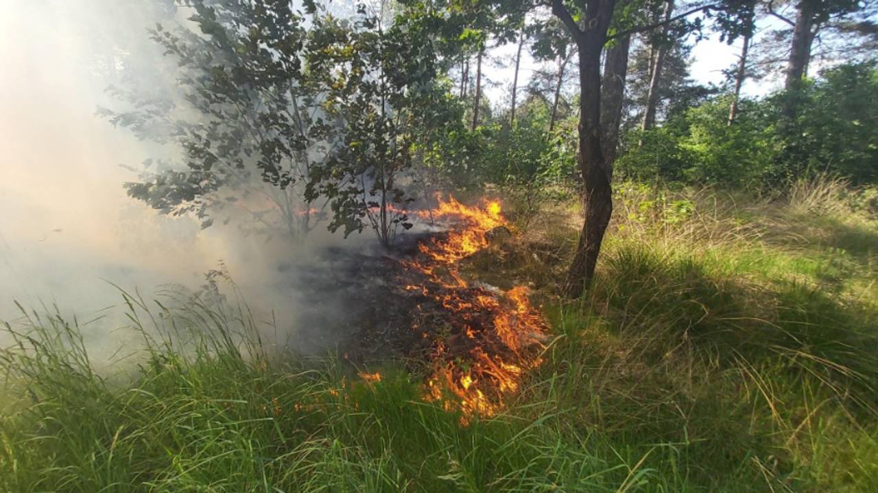 Configurar en el juego con varios incendios naturales recientes