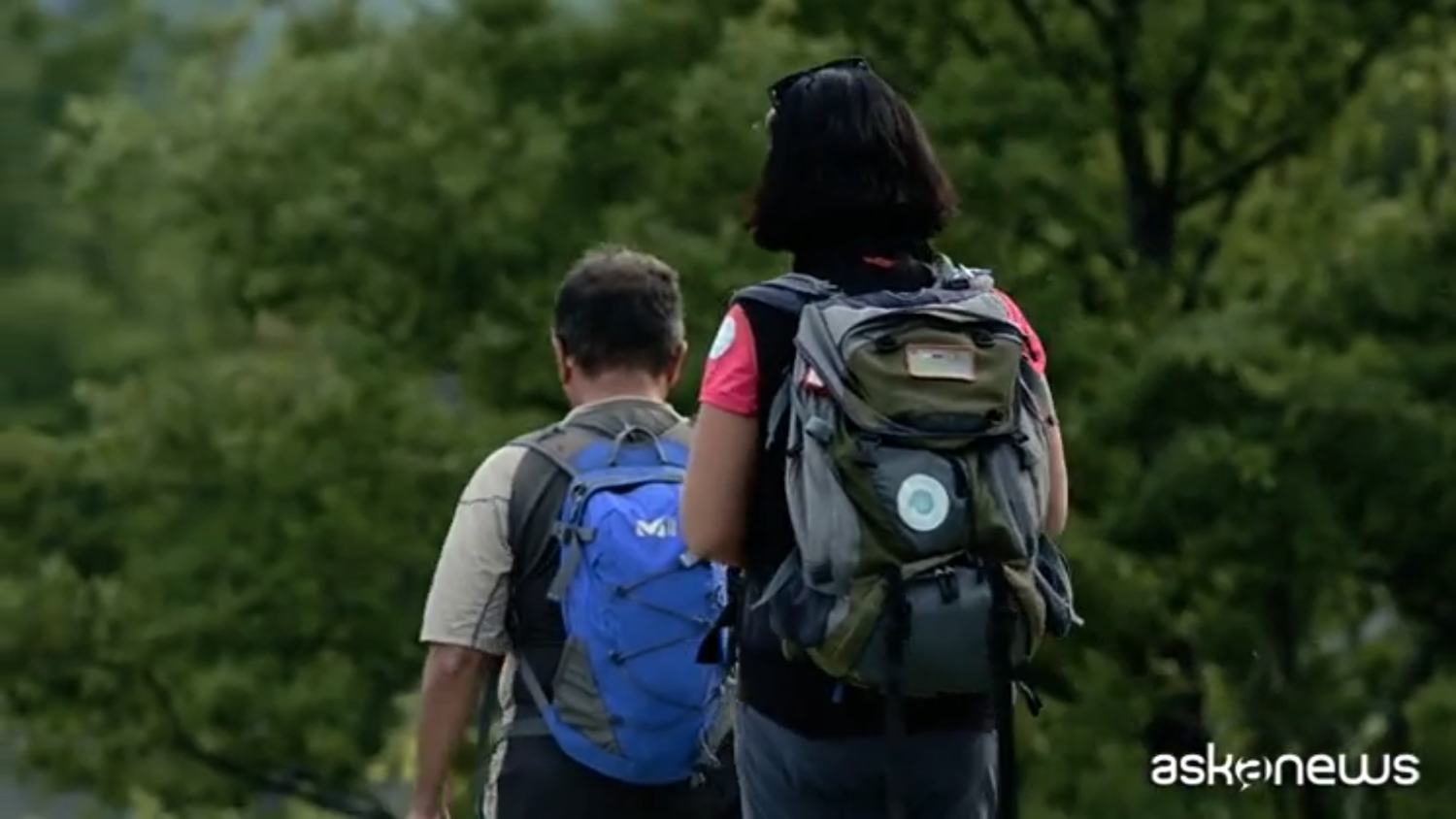 Del 10-11, el 27 de mayo, excursiones gratuitas en cinco