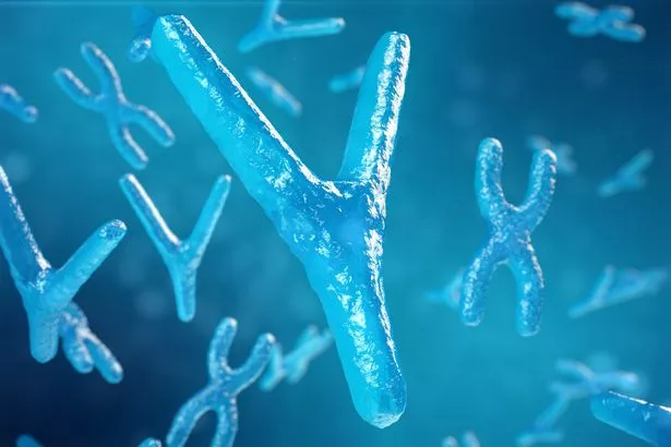Ilustración 3D xy-cromosomas como concepto para la terapia génica del símbolo médico de la biología humana o la investigación de la genética de la microbiología.