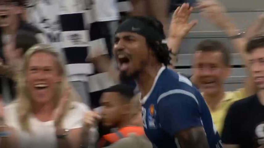 En la próxima victoria en los playoffs: ¡Halle está enloquecido!