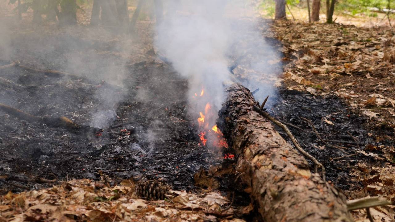 Estalló el fuego de la naturaleza: los caminantes llaman a