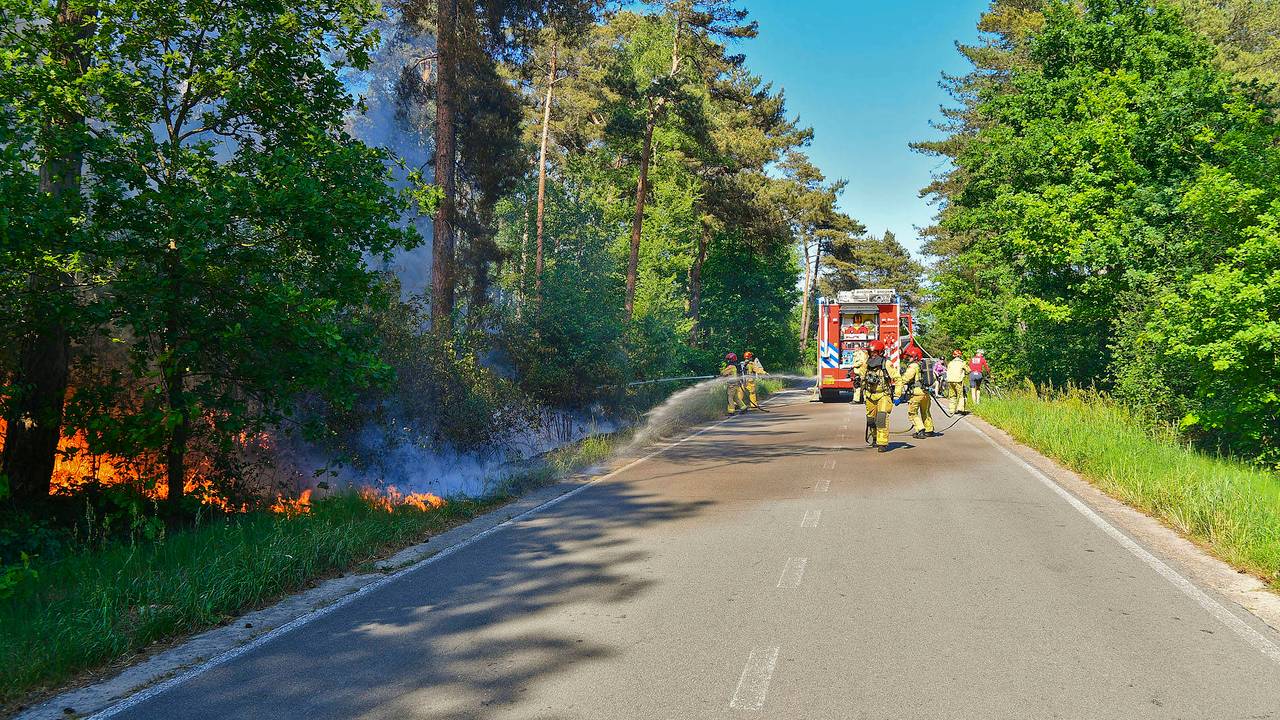 Fuego en tres lugares al mismo tiempo en el bosque