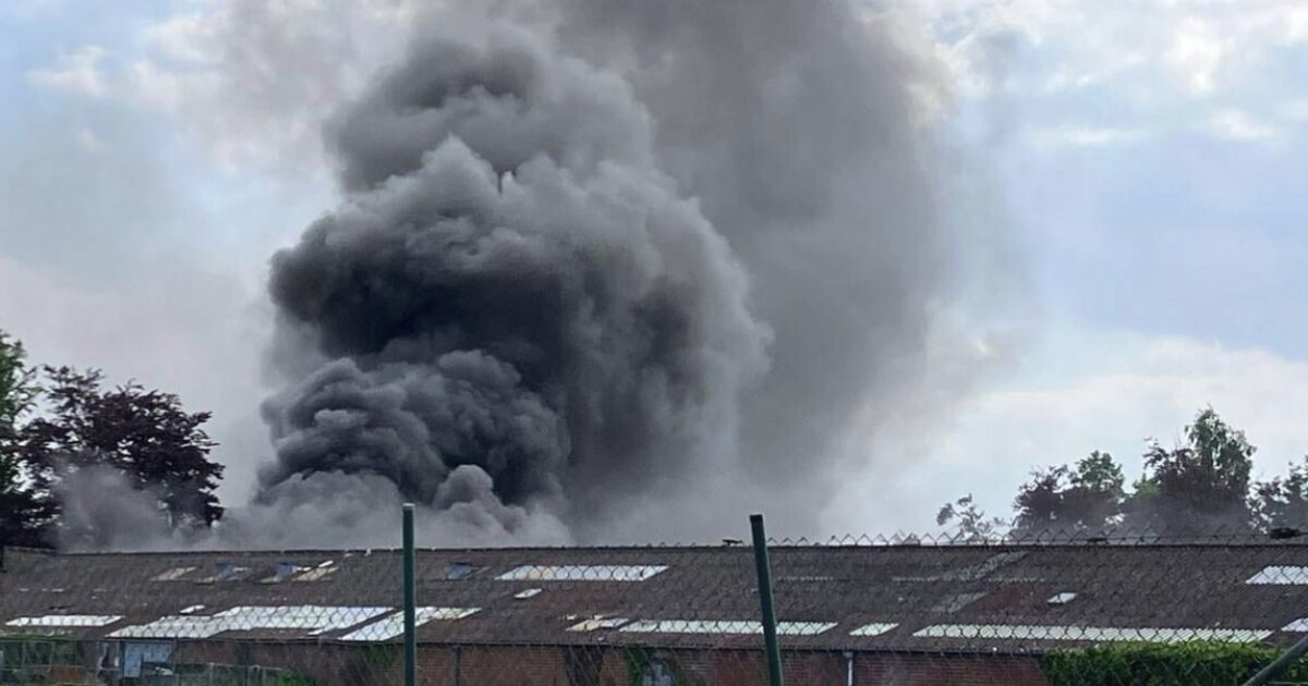 Fuego pesado en Ruddervoorde: "Mantenga las ventanas y las puertas
