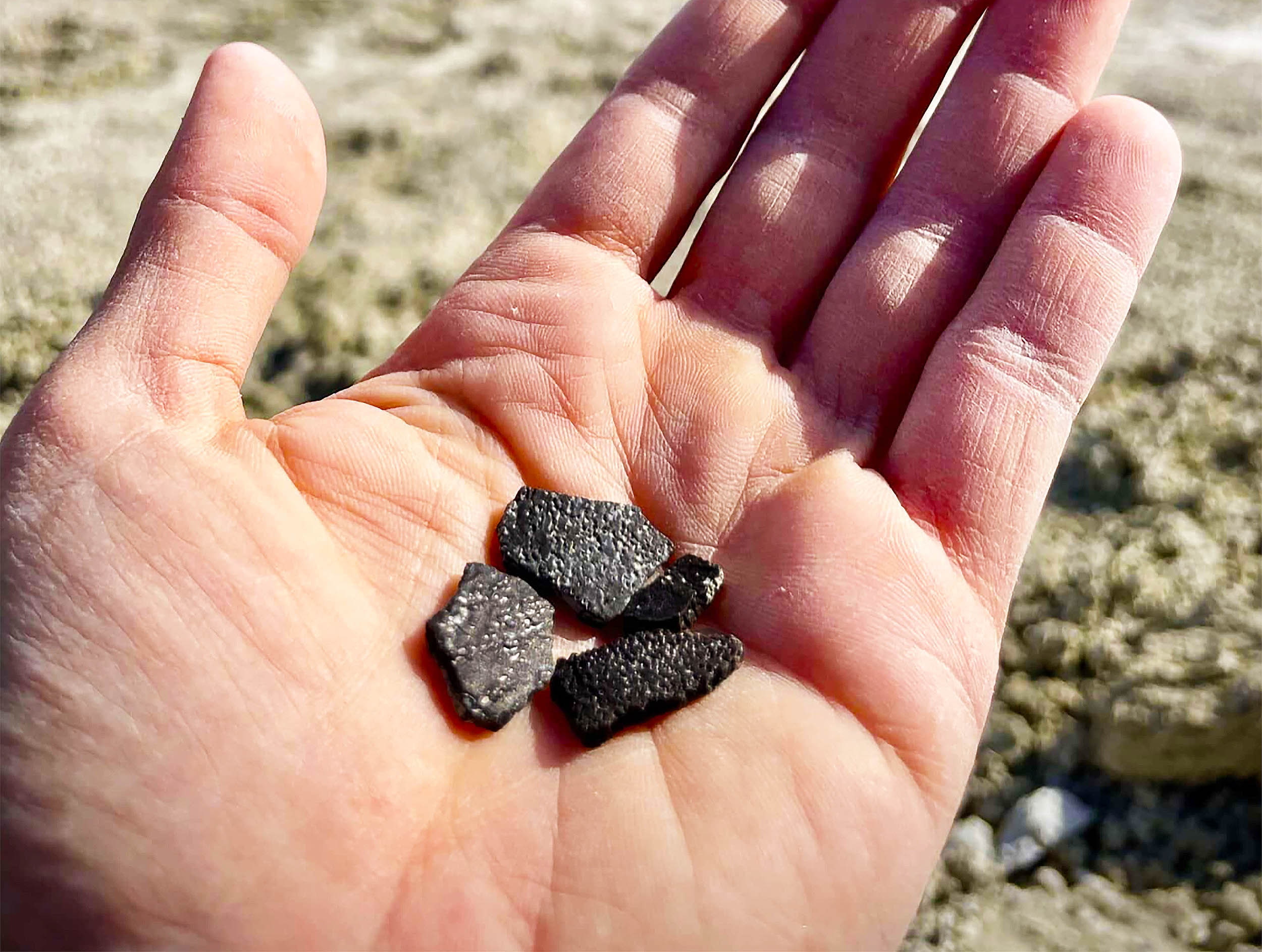 Huevos de dinosaurio de 100 millones de años revelan la