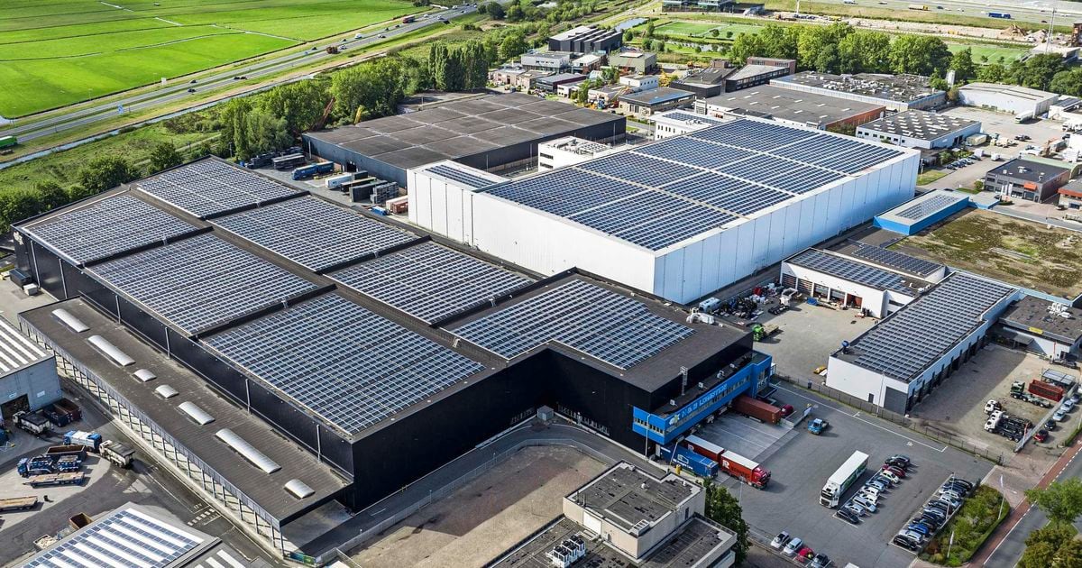 Ing: las empresas holandesas aceleran la sostenibilidad y realizan inversiones