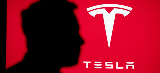 Inversor Ross Gerber: Tesla está en declive del horror, dados