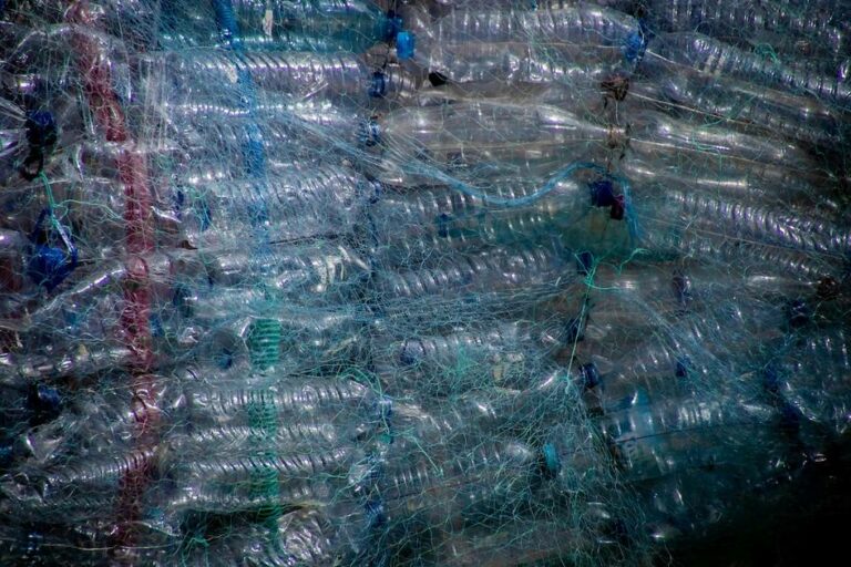 La compañía de reciclaje suizo Doly recauda $ 23 millones