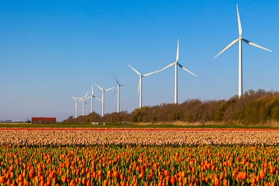 La construcción de turbinas eólicas en la tierra está de