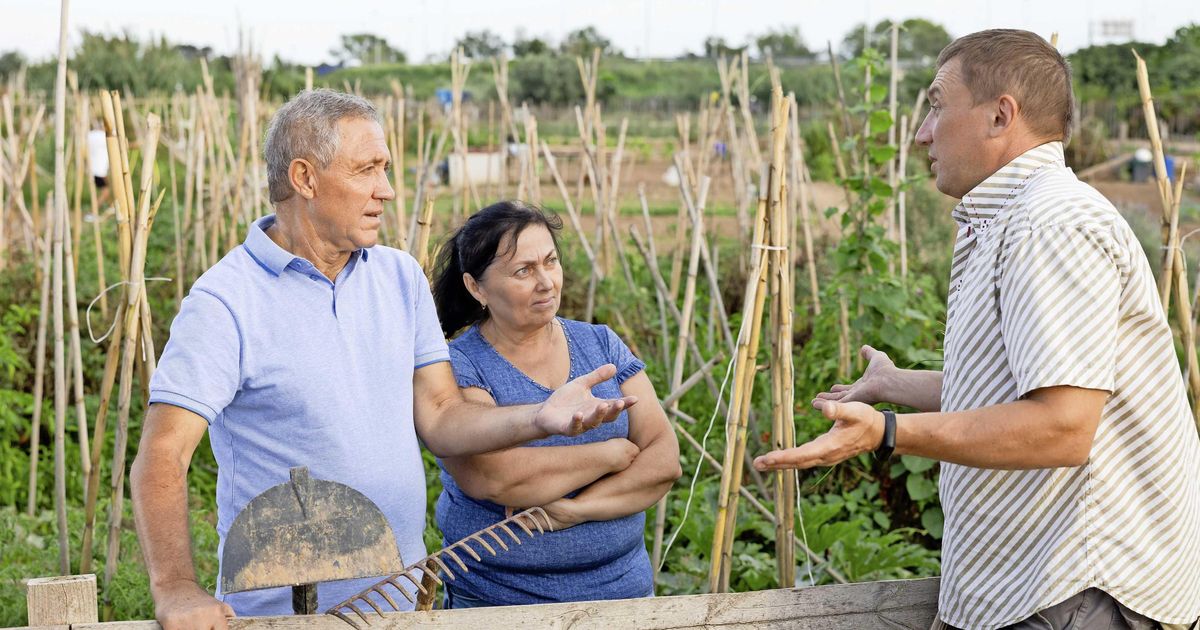 La disputa en el complejo de jardín de asignación se