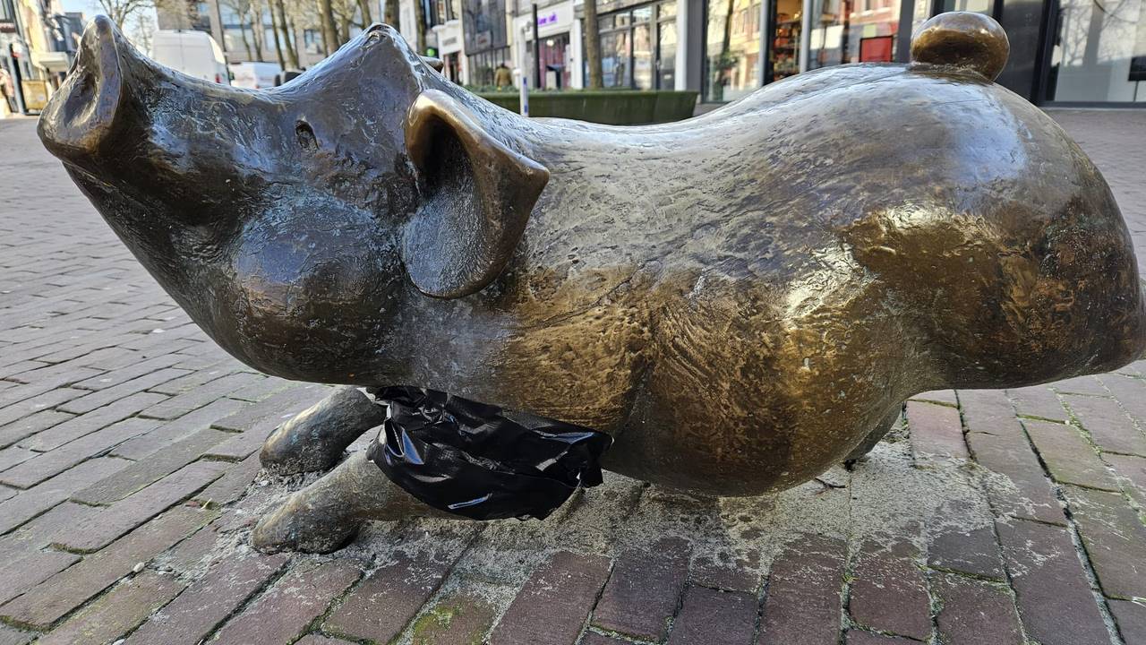 La imagen de cerdo en OSS siempre se llevaba de