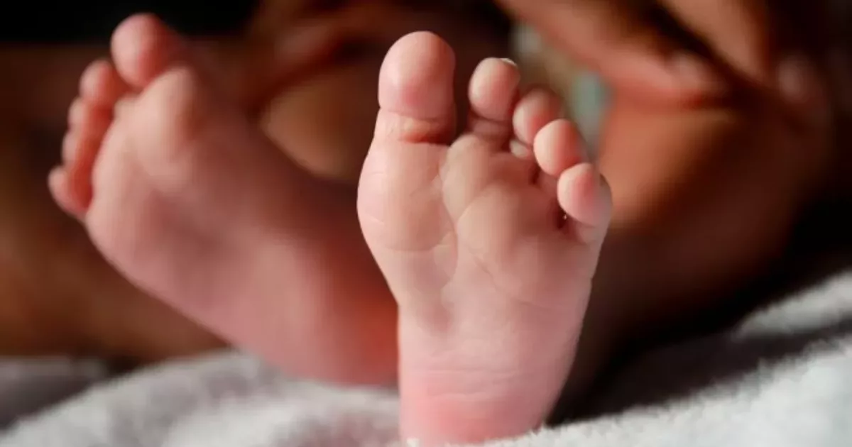 Líder de West Flandes en atención de maternidad: 4 de