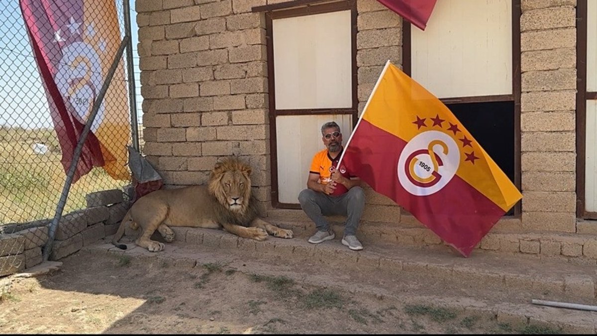 Los fanáticos de Galatasaray celebraron el campeonato con sus leones