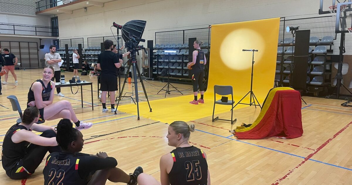 Los gatos belgas están listos para el campeonato europeo en