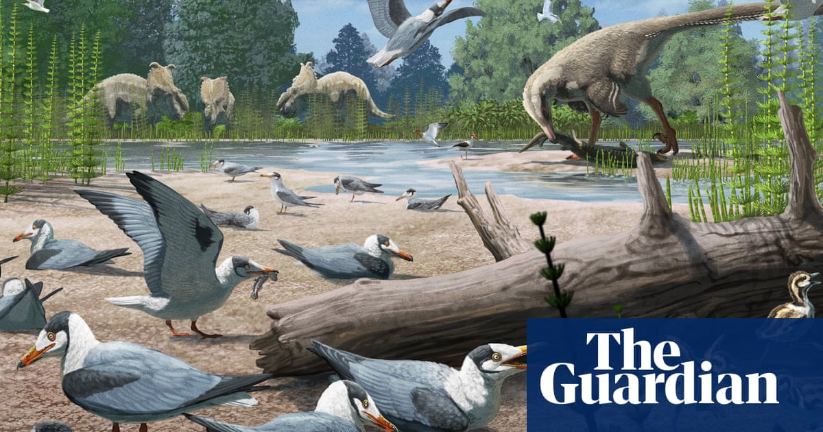 Los pájaros anidaban en el Ártico durante la era de