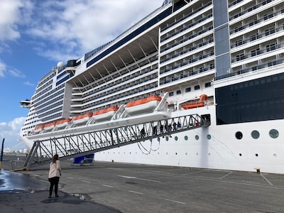 Luxecruise to Brujes degenera en una pelea fatal: el hombre