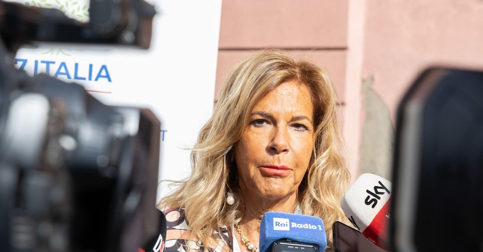 Marcegaglia: El costo de la energía mata a las empresas,