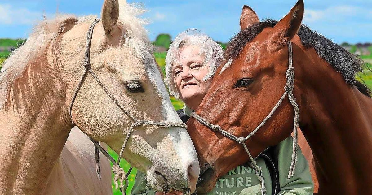 Margreet (59) fue víctima de asunto de asignación y vivió