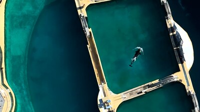 Mirar. Películas de drones cómo las orcas izquierdas se fueron