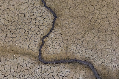 Natuurpunt advierte que la sequía tiene un impacto permanente, incluso