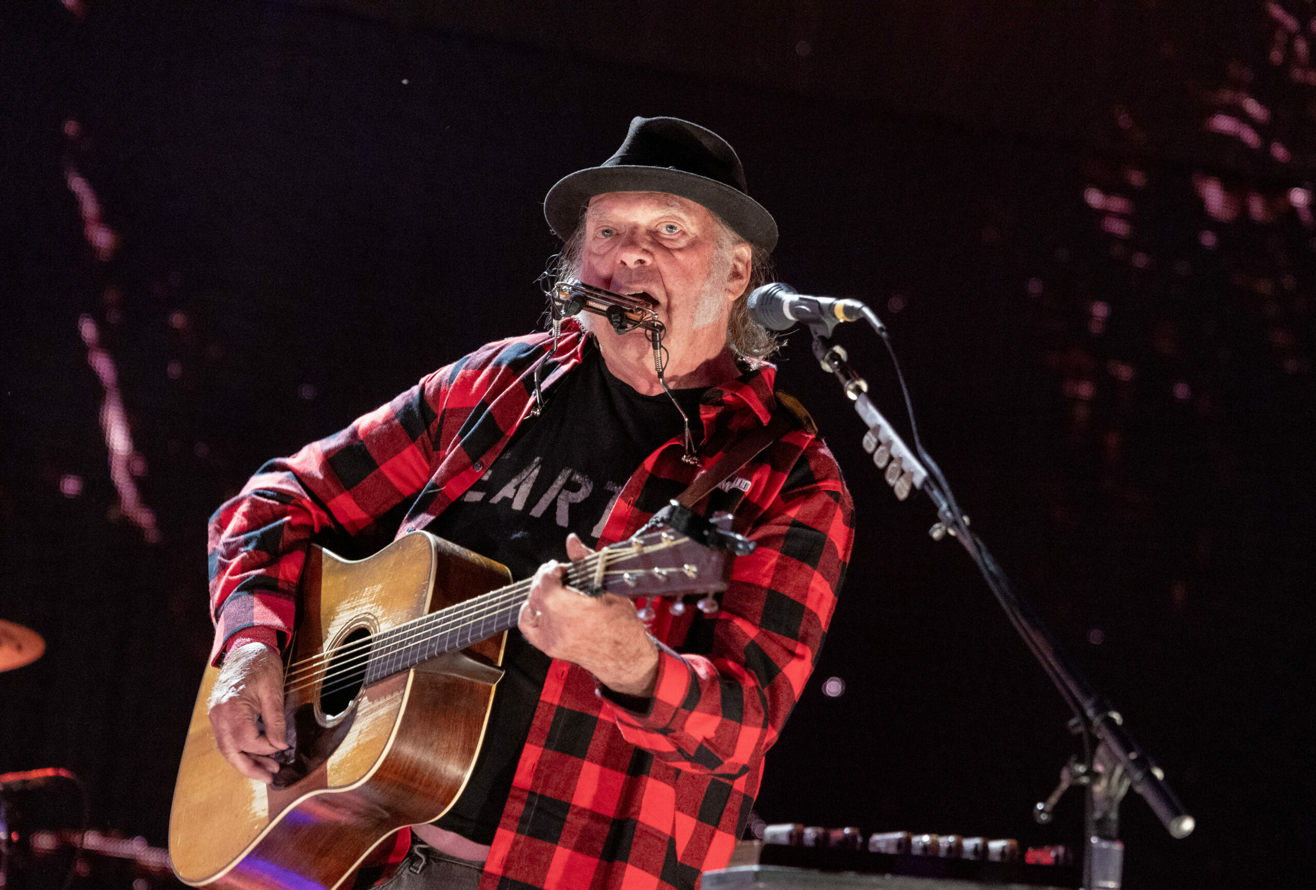 Neil Young ataca a Trump: "No te tengo miedo. Y