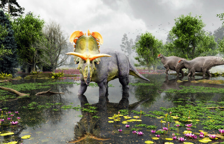 Nuevo dinosaurio cornudo es el "más grande y ornamental" jamás