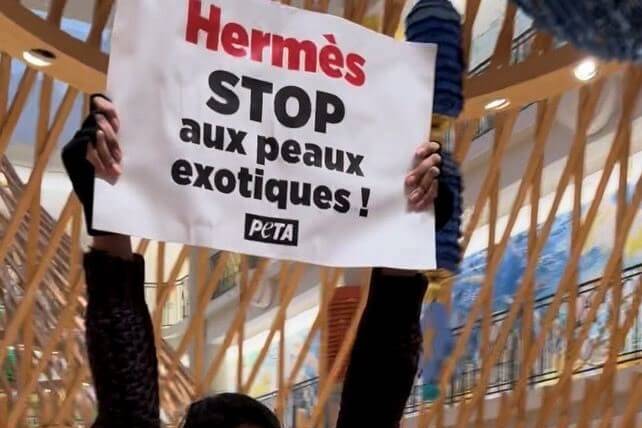 PETA participa en la reunión general de Hermès, exige bolsas