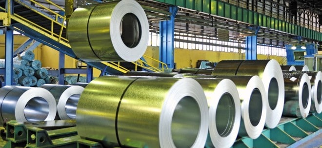 Papenburg no quiere aumentar aún más la participación del salzgitter