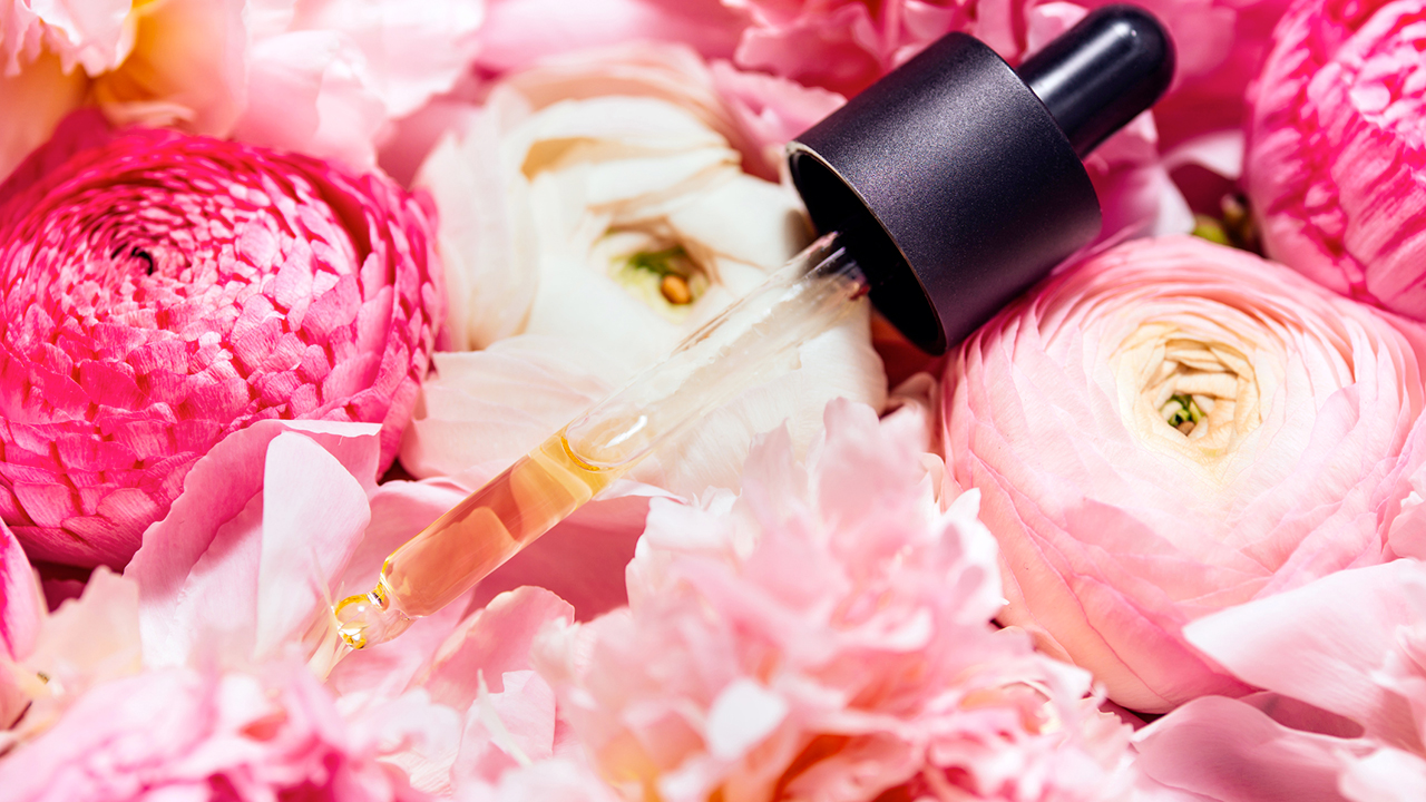 Perfumed, elegante, lleno de propiedad: la rosa es la reina