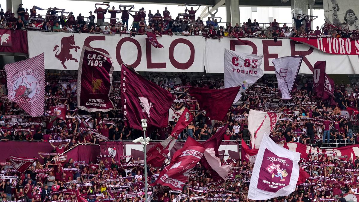 Produce un balcón del estadio en Turín: Fan en código
