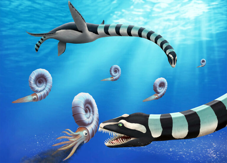 Se ha descubierto un monstruo marino "Very odd" que es