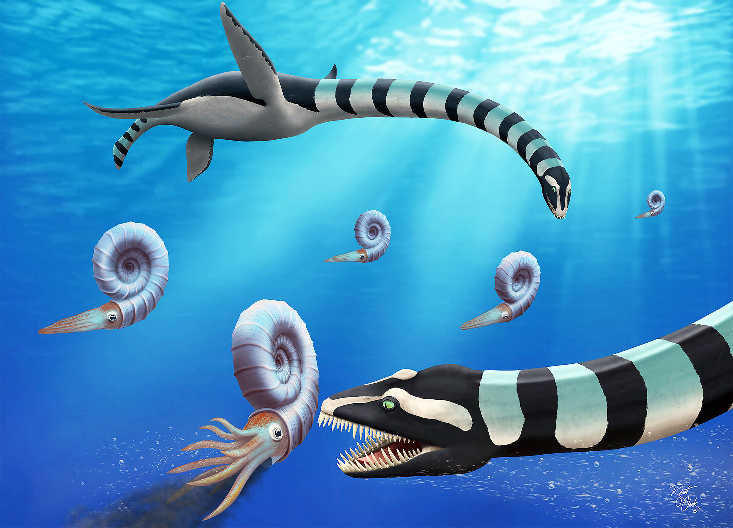 Se ha descubierto un monstruo marino "Very odd" que es