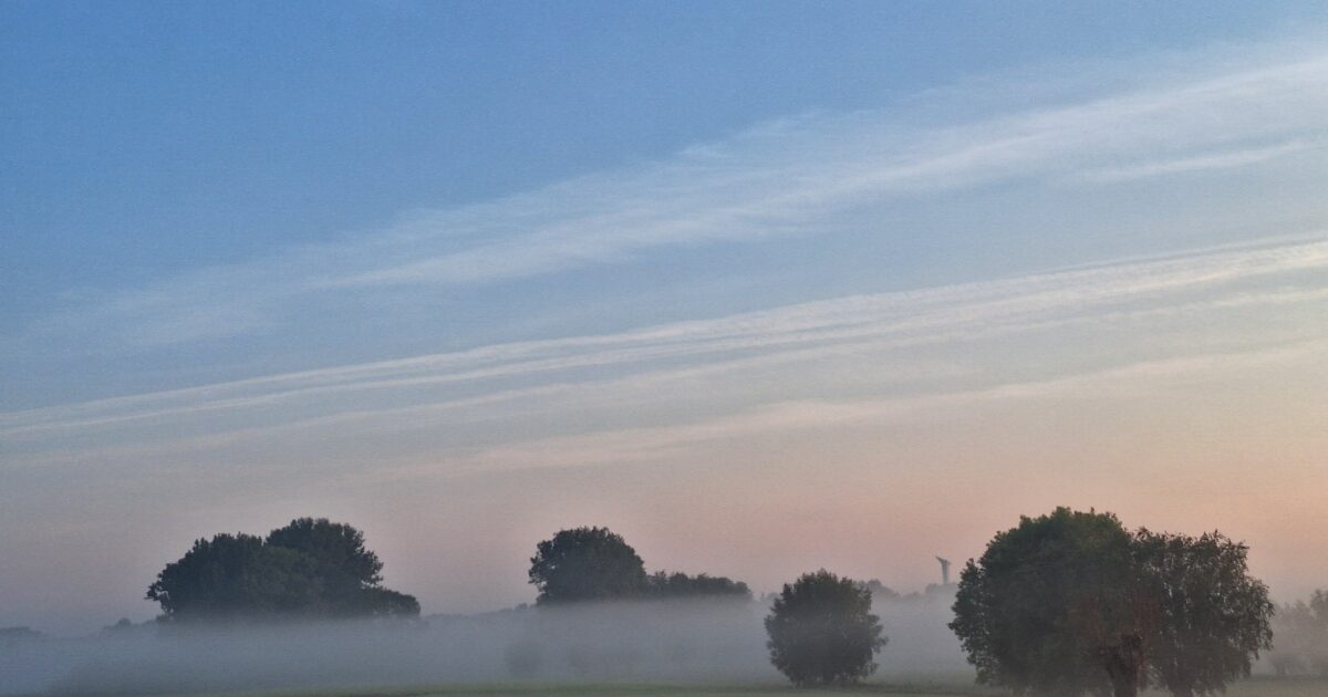 Soleado, más tarde algunas nubes y más viento