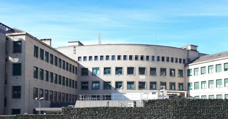 Tac al gato en el Hospital Aosta: cuatro sospechosos