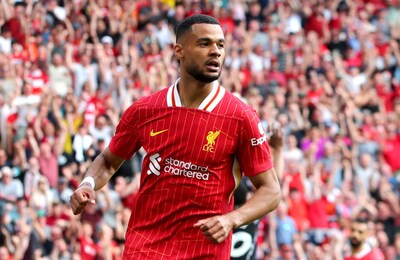 Treffer Cody Gakpo no es suficiente para el Liverpool contra