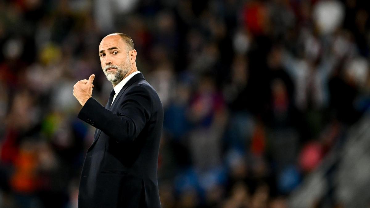 Tudor: "Es un buen punto, dadas las descalificaciones y accidentes.