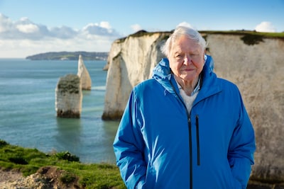 Una toma deja en claro: Sir David Attenborough (99) aún