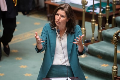 Van Peel: N-VA apoya al Presidente de Frans Macron Plan