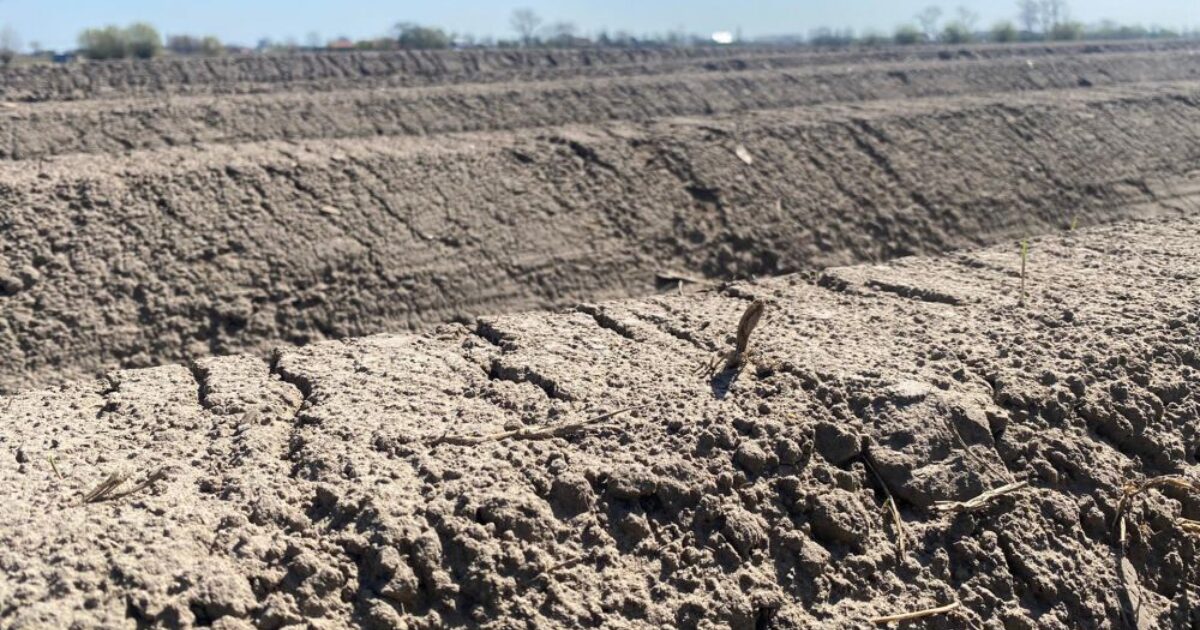 West Flandes experimenta el período más seco en décadas