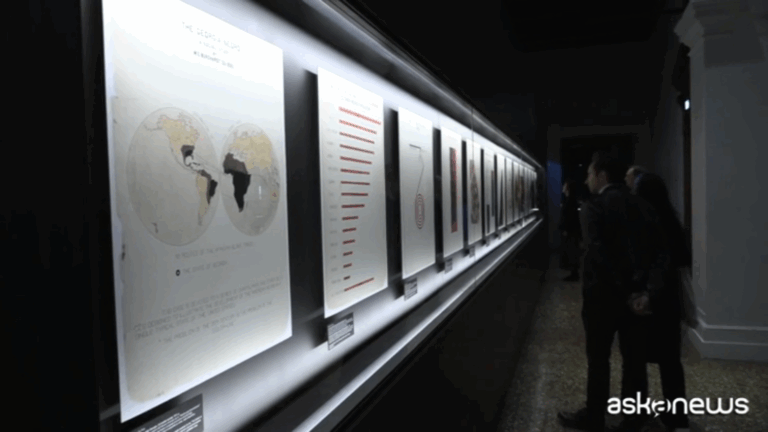 "Diagramas" En la Fundación Prada en Venecia, un viaje hacia