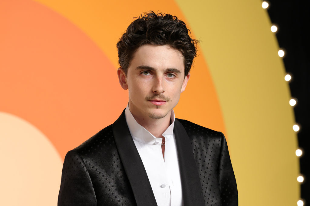 ¿Timothée Chalamet también le dará a Bob Dylan en vivo?