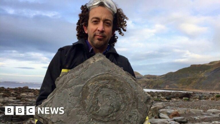 El showman del rock descubre un estegosaurio de arenisca cerca