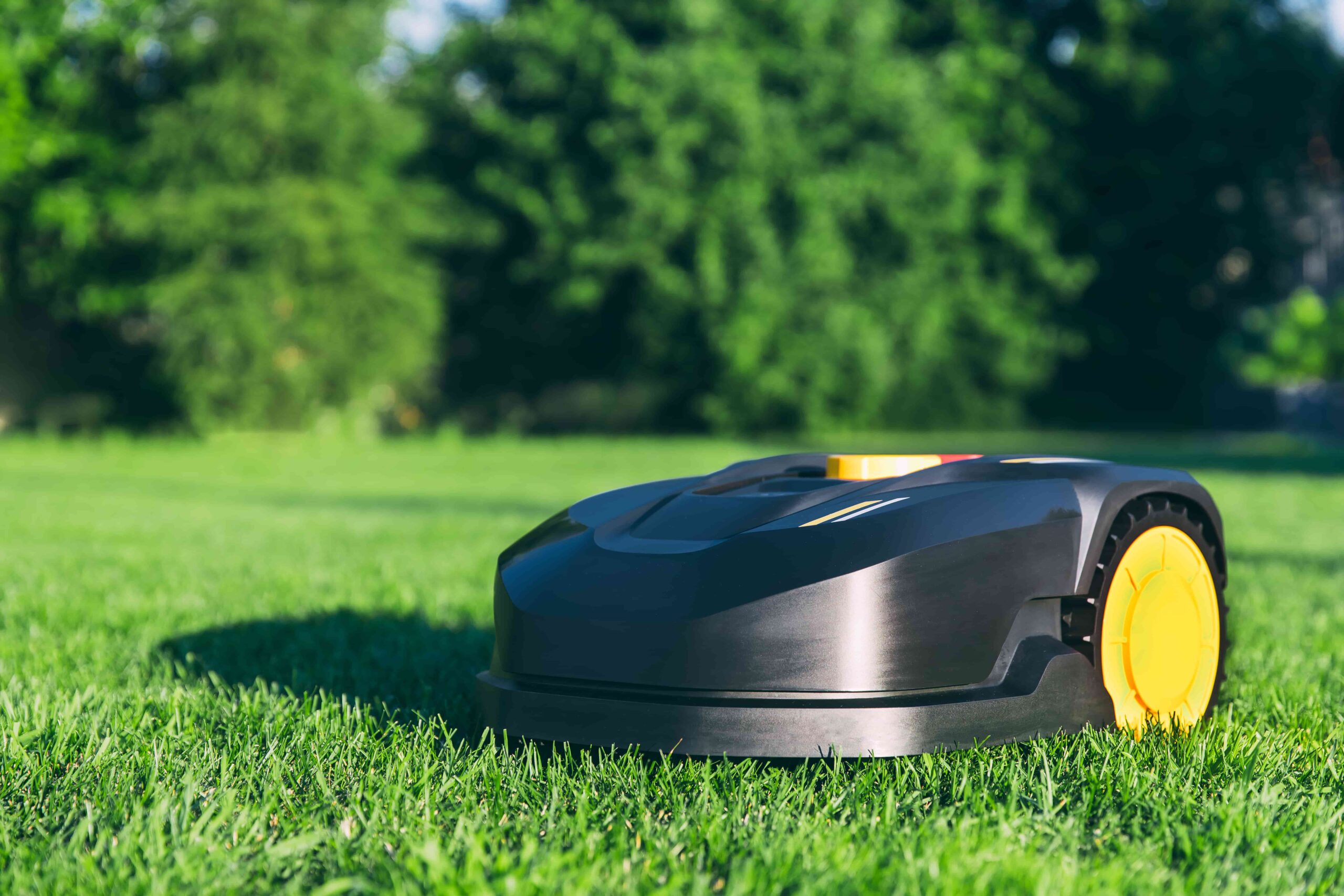 ¿Cuáles son los mejores robots cortacésped? Comparativa 2025